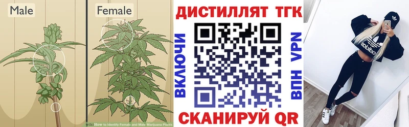 Дистиллят ТГК жижа  хочу   Благовещенск 
